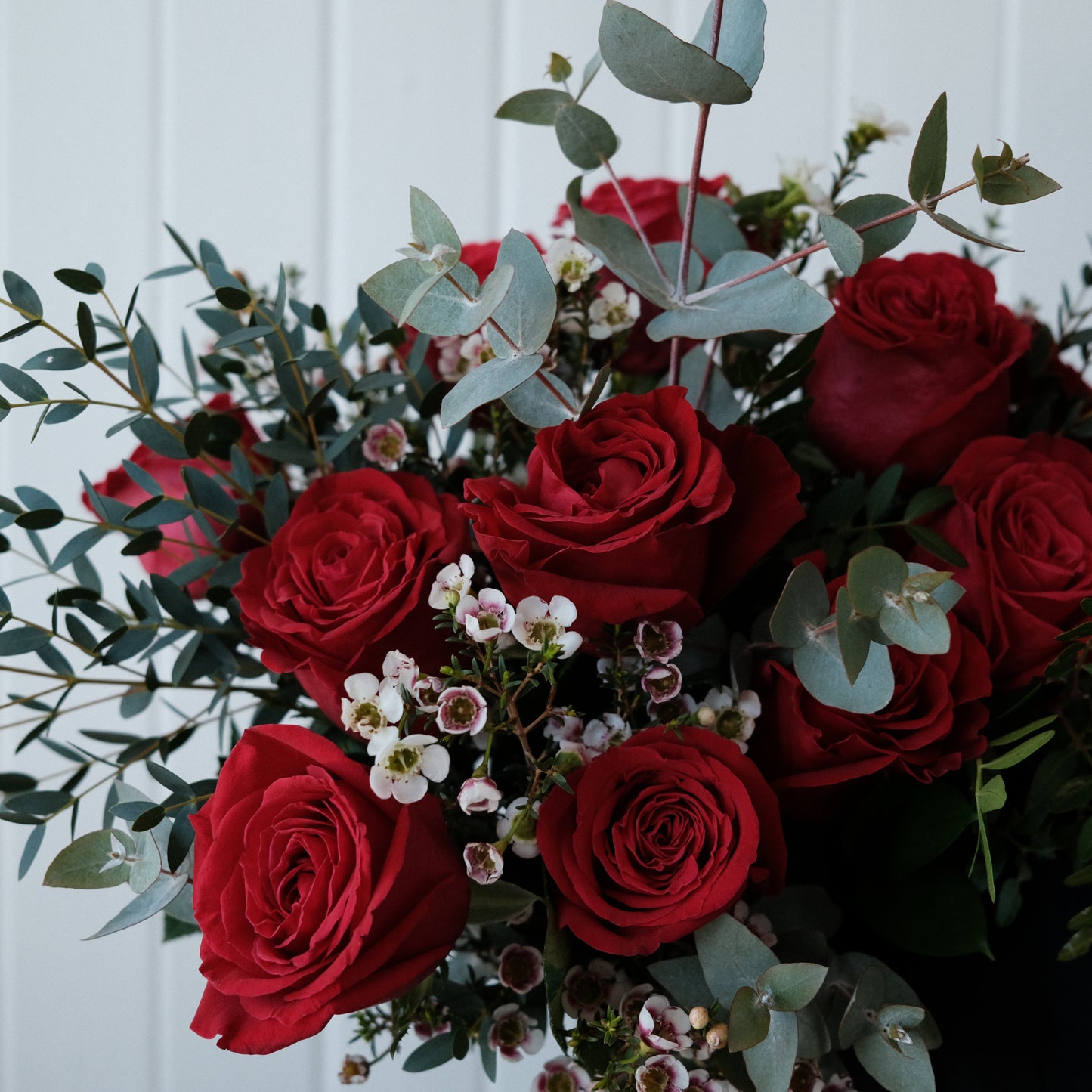 12 roses - rouge