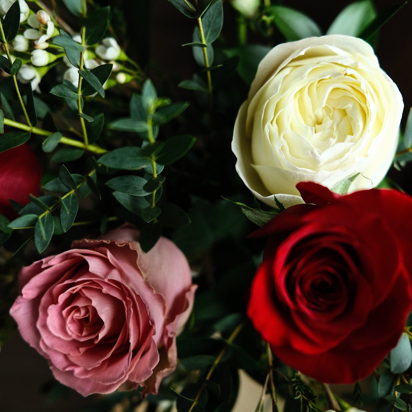 3 Roses - mixtes