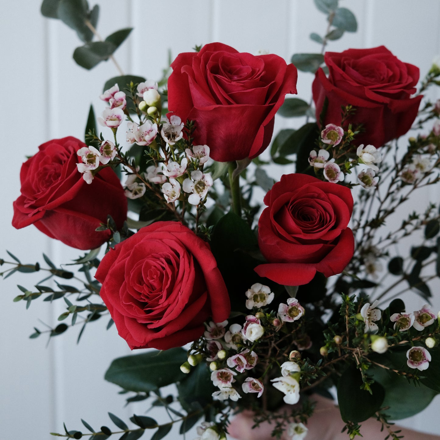 5 Roses - rouge