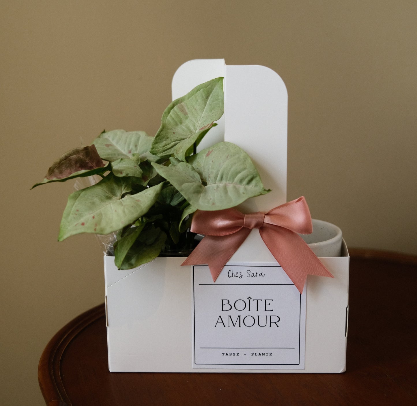 La boîte AMOUR