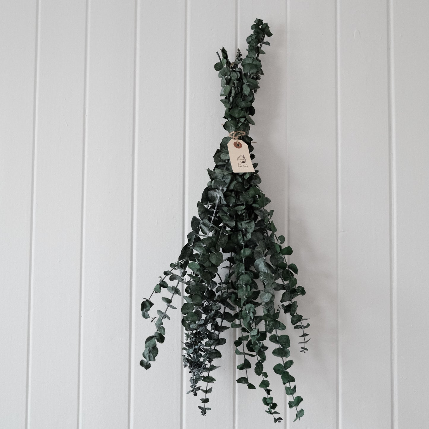 Eucalyptus douche / détaillant