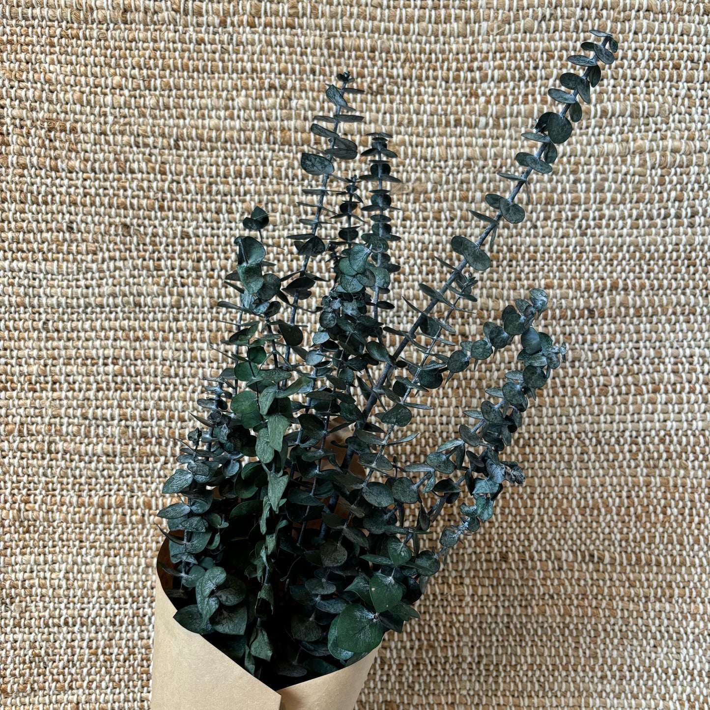 L’eucalyptus