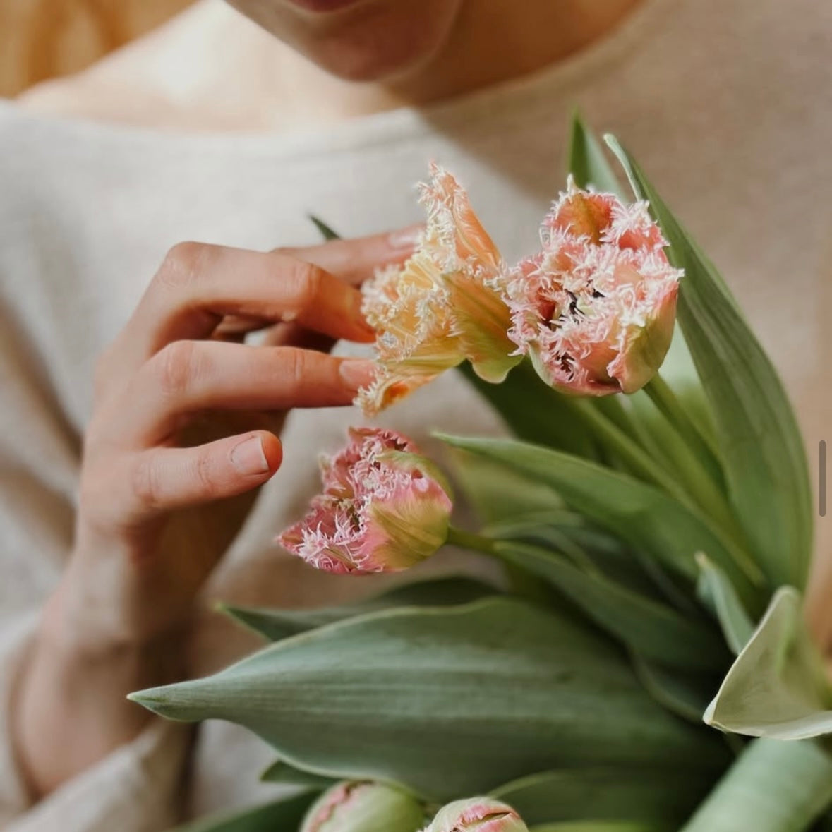 DES TULIPES POUR PÂQUES