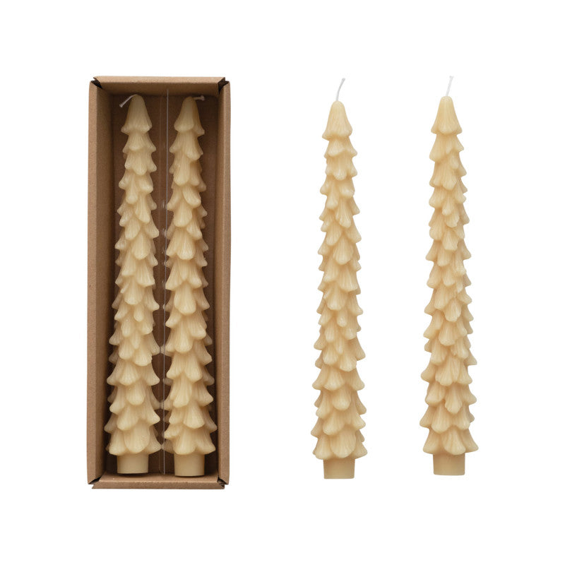 Bougies effilées sapin / 2