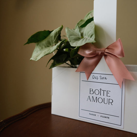 La boîte AMOUR
