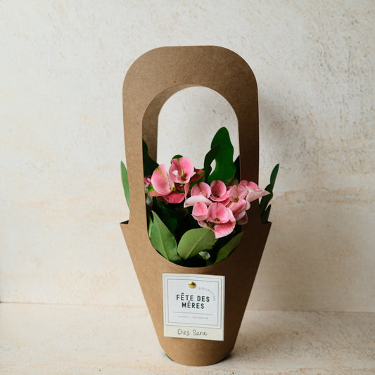 La FLEURIE - plante intérieur