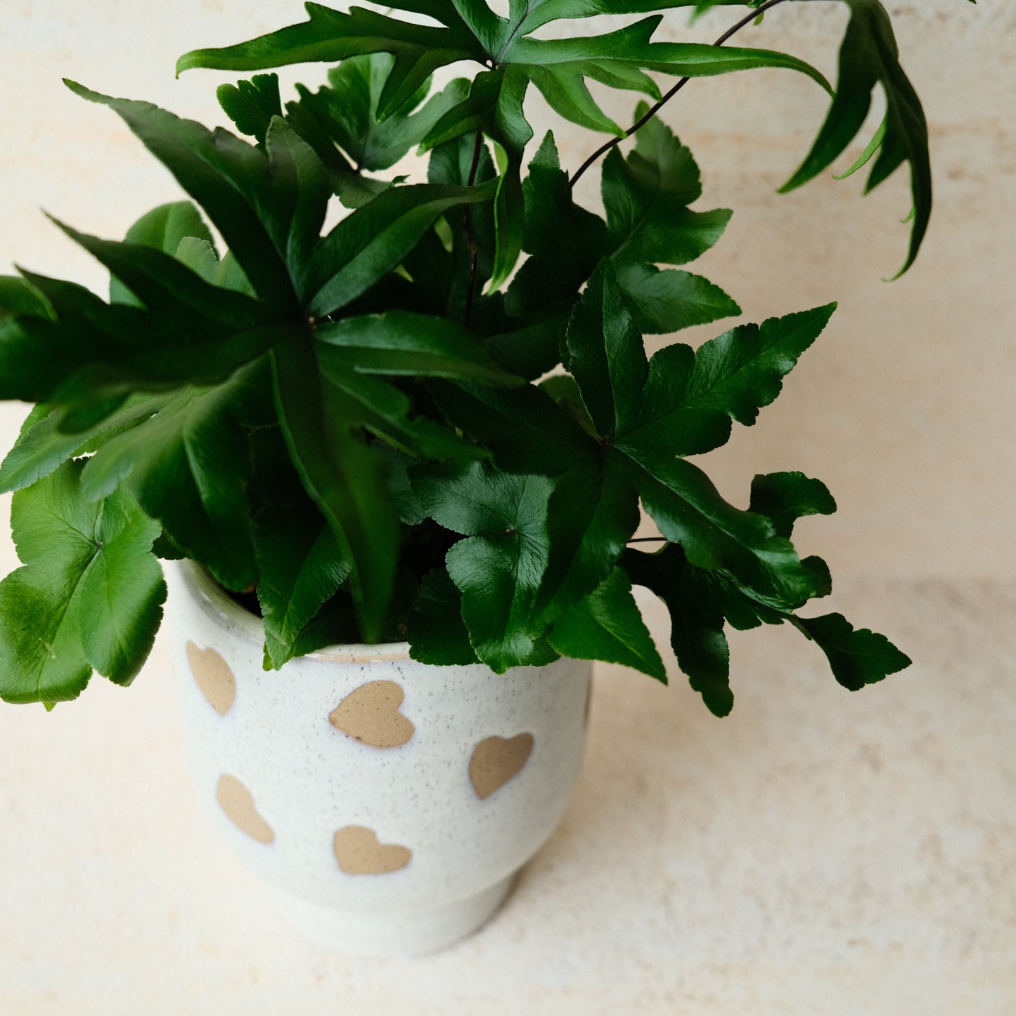 Vase COEUR- plante intérieur