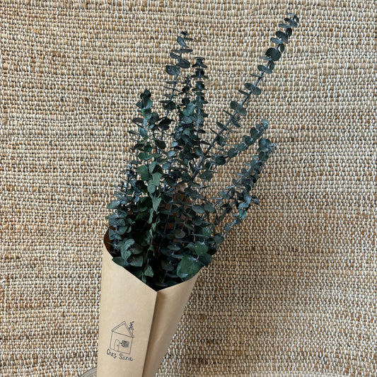 L’eucalyptus