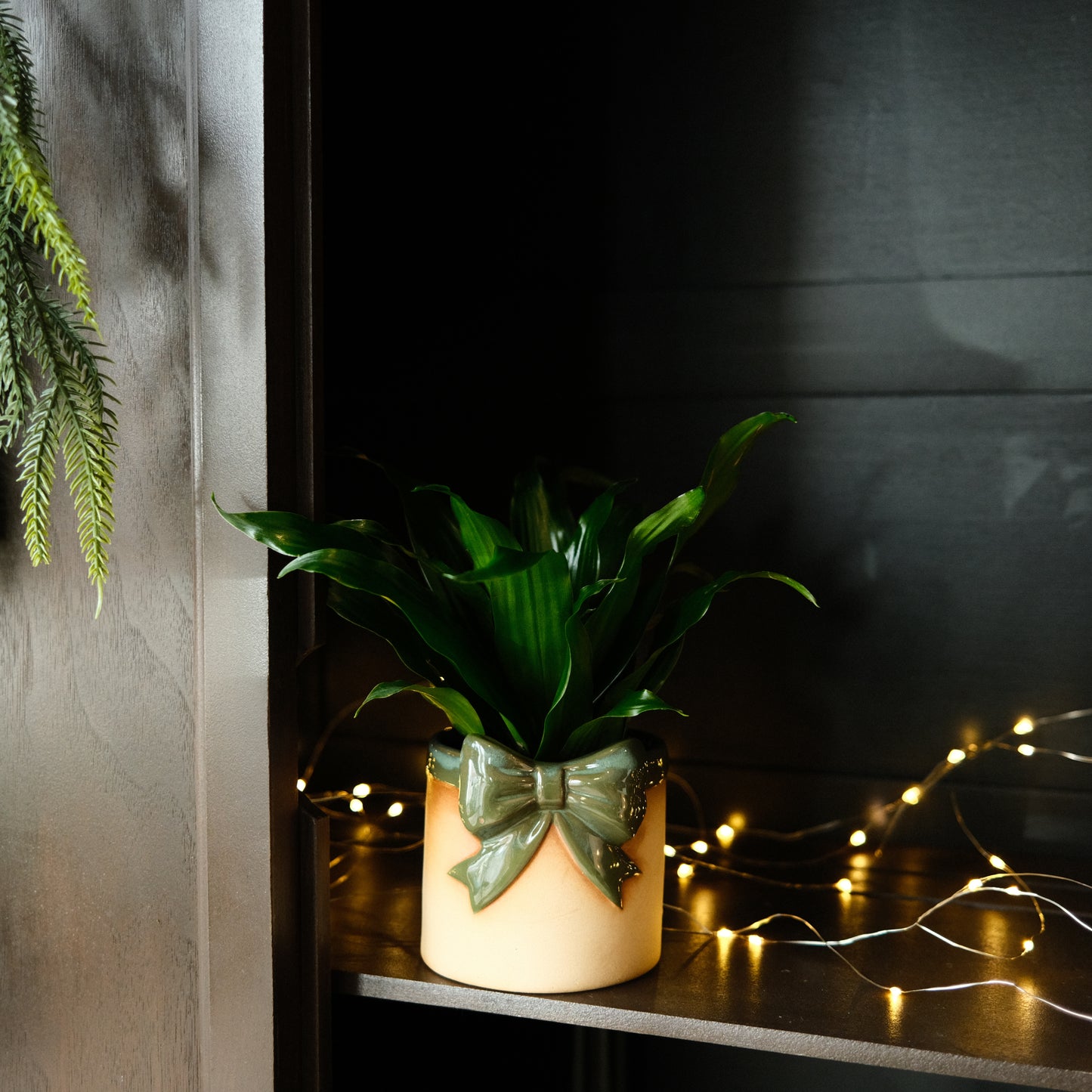 Plante - pôt boucle