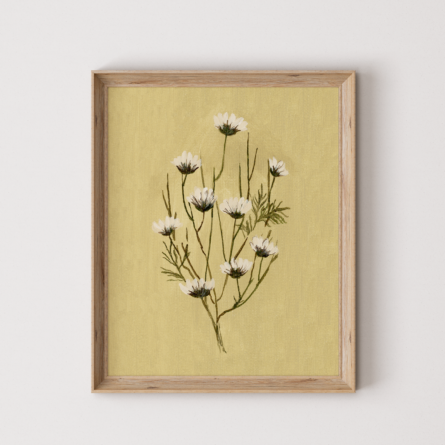 Marguerites