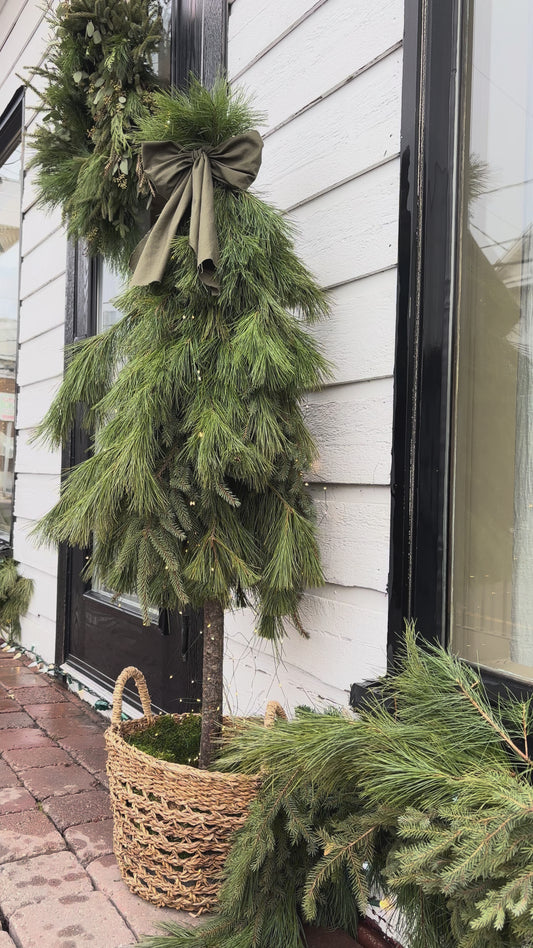Sapin extérieur